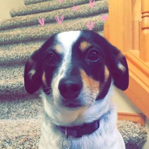 Meet your Posher, Emma